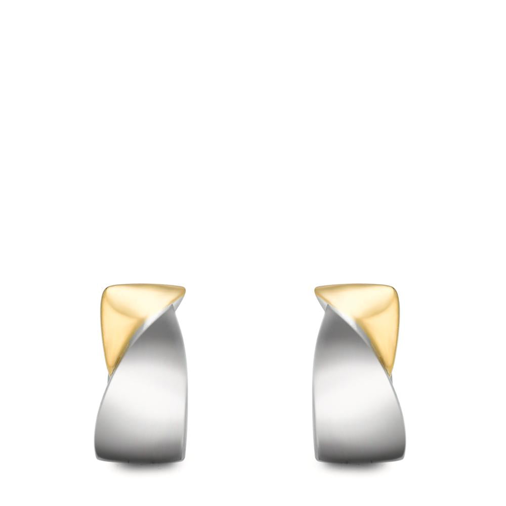 Hinged hoop Stainless steel Bicolor IP coated