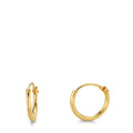 Hoop earrings Silver Yellow Gold plated