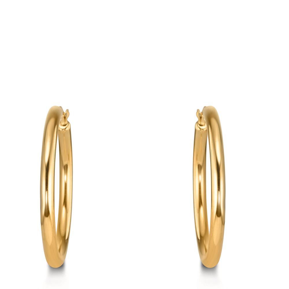 Hoop earrings Stainless steel Yellow IP coated