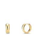 Hinged hoop Silver Yellow Gold plated