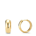 Hinged hoop Silver Yellow Gold plated