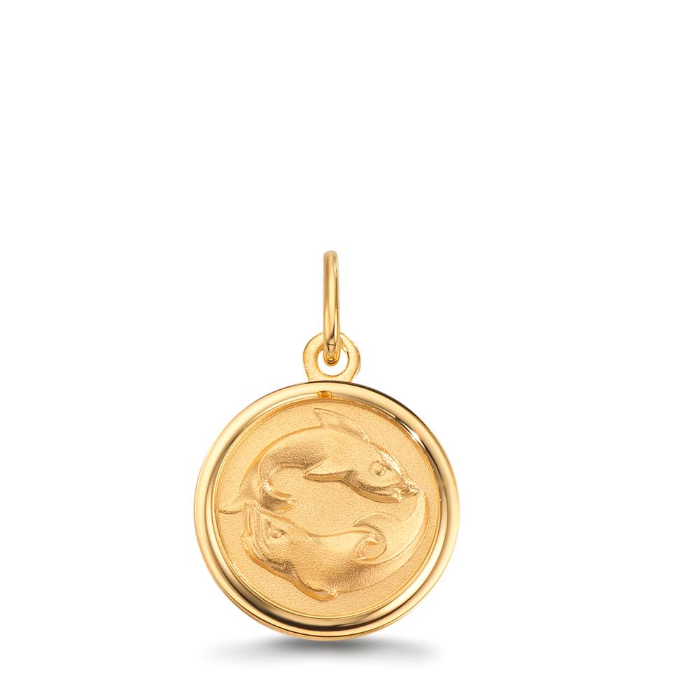 Engravable pendant 9k Yellow Gold Zodiac Sign Pisces Ø12 mm