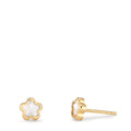 Stud earrings 18k Yellow Gold Mother of pearl Flower Ø4 mm