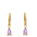 Hoop earrings 9k Yellow Gold Amethyst 2 Stones
