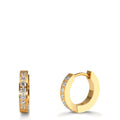 Hinged hoop Stainless steel Zirconia White, 14 Stones Yellow IP coated
